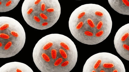 Mitochondriën Rood licht